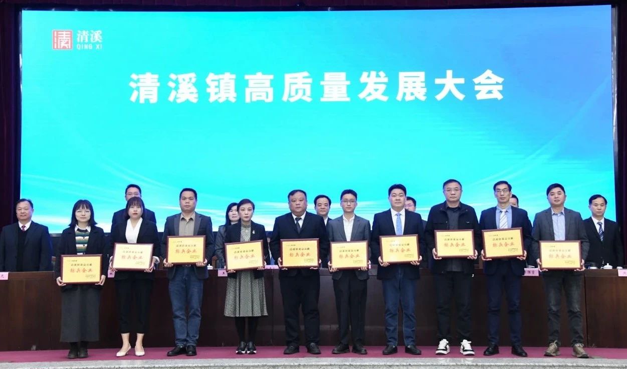喜讯：星座娱乐科技荣获2024年度“清溪镇主营业务收入及效益贡献标兵企业”