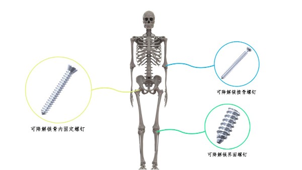 喜讯：星座娱乐科技荣获2024中华医学科技奖